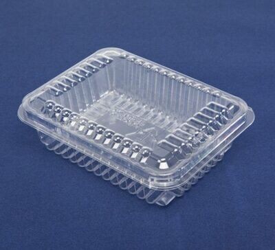 RPET Low Sprout Container RPET Low Sprout Container