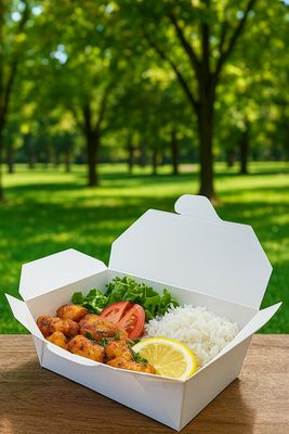 Plastic Free Lunch Boxes