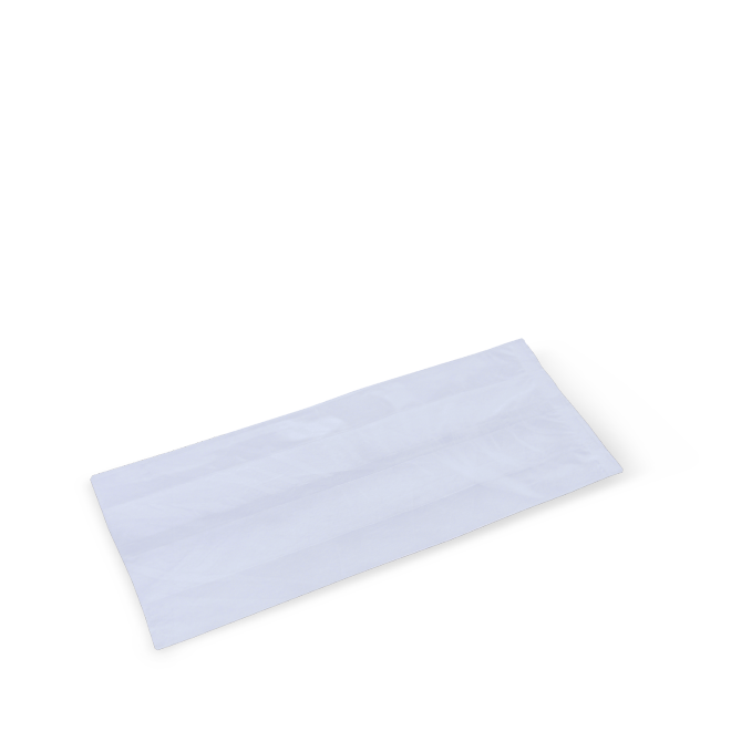 Plain Clear Bag
