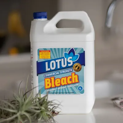 Bleach Bleach