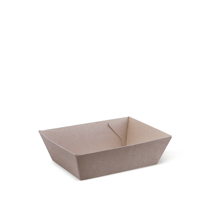 Takeaway Tray #1