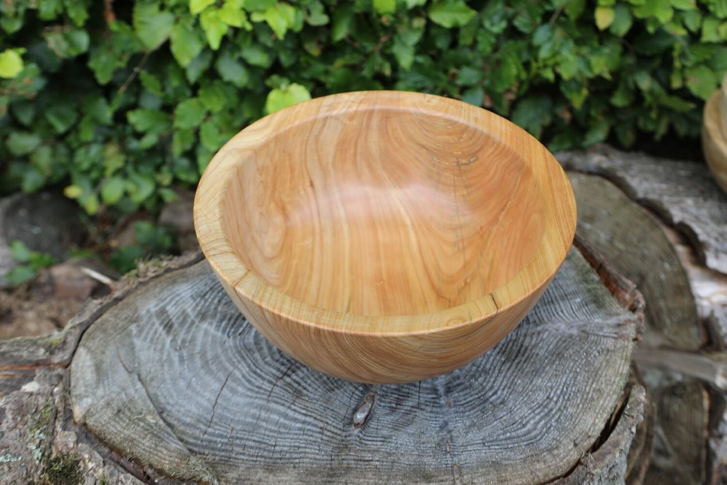 Large Cypress Wood Turned Bowl