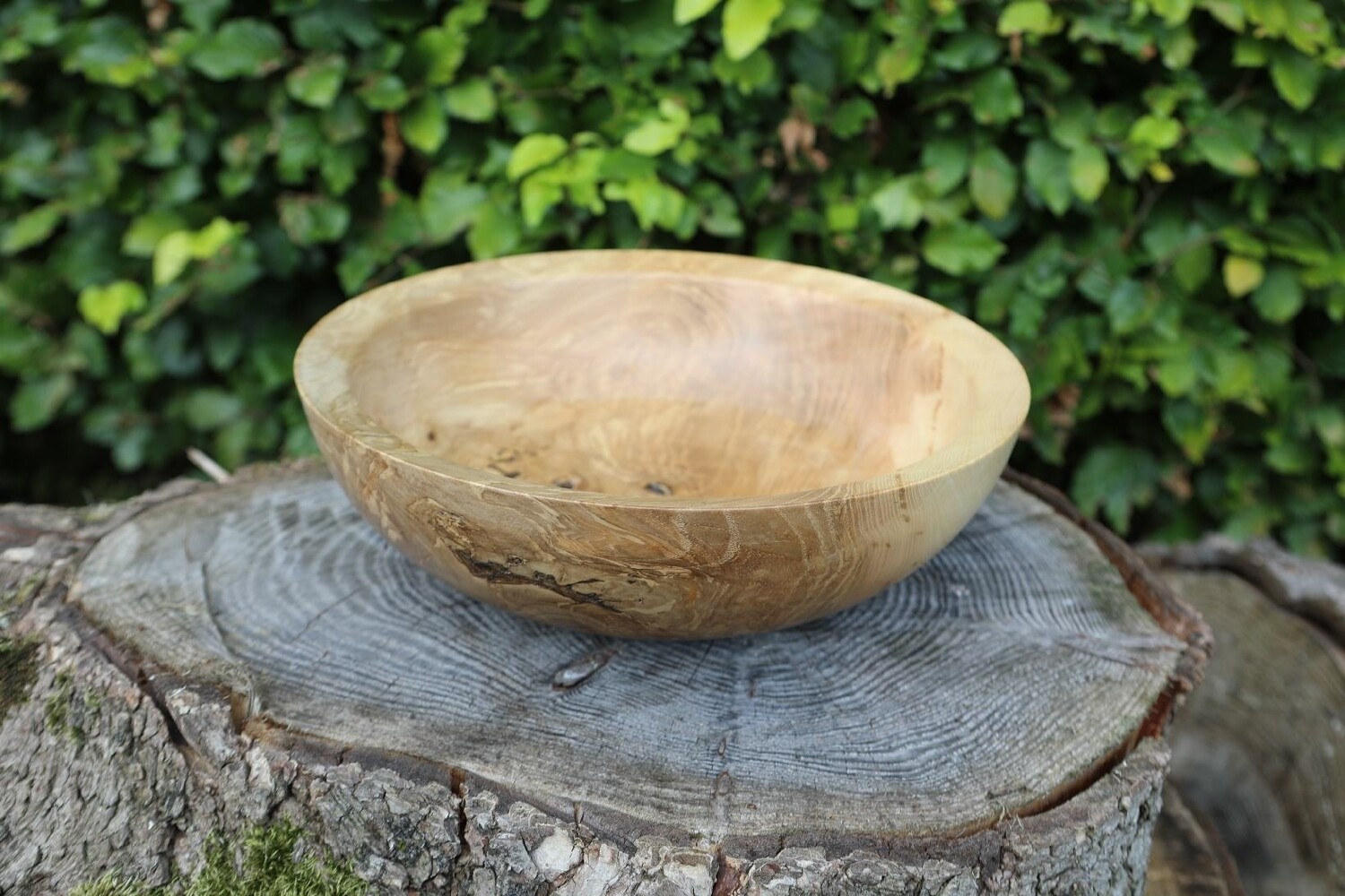 Irish Olive Ash Bowl Featuring Natural Occurring Voids