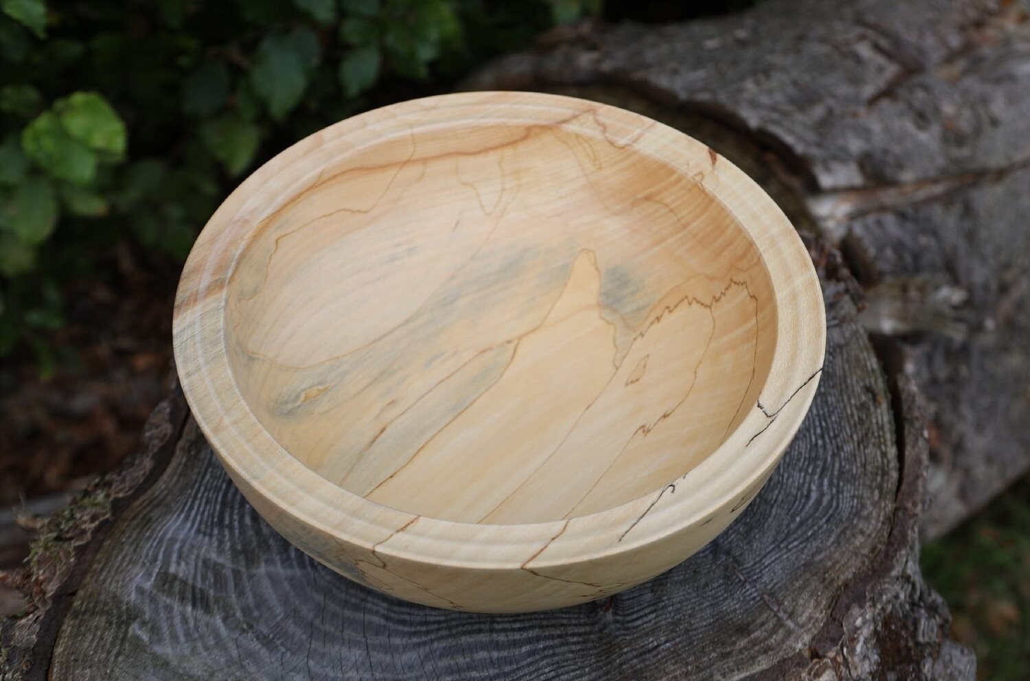 Sycamore Wood Turned Bowl