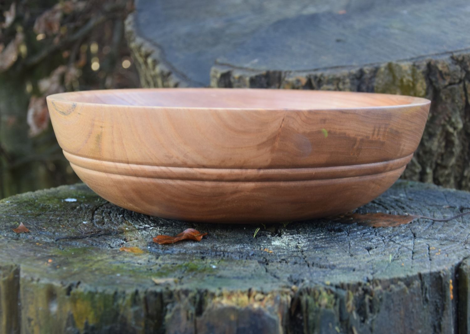 Elm Shallow Wooden Bowl