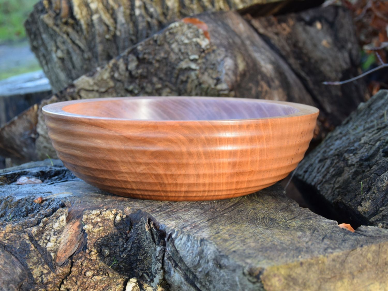 Irish Elm Large Salad Bowl