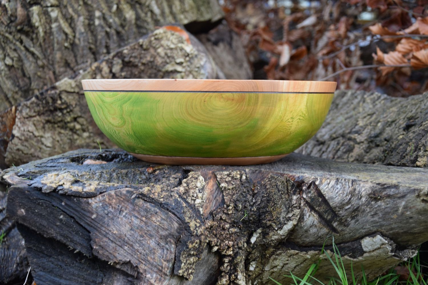 Irish Elm Large Sized Wooden Bowl with Lime Green Wall