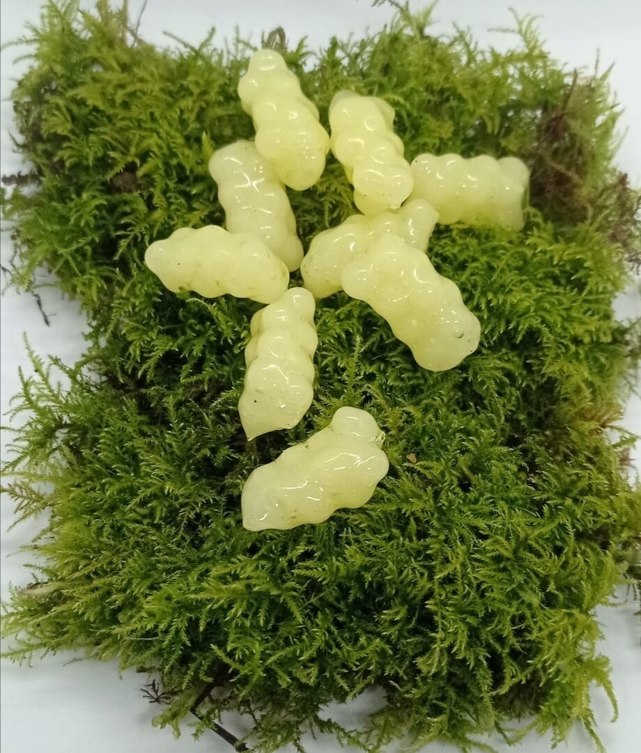 ACTIVA ROGEN gelb, auftreibend