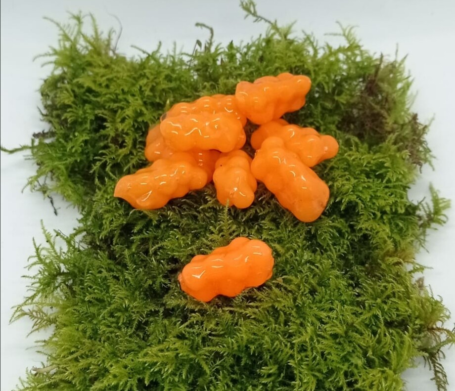 ACTIVA ROGEN orange, auftreibend, Geschmack: Käse