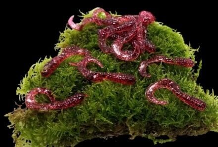 ACTIVA TWISTER weinrot glitter, Geschmack: PUR