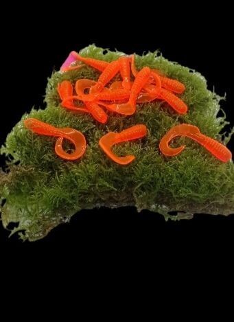 ACTIVA TWISTER hot orange, Geschmack: PUR