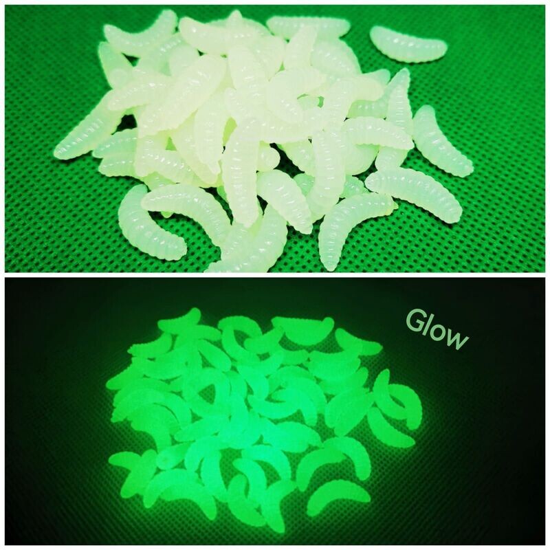 Bienenmade 2cm, glow, auftreibend Bienenmade 2cm, glow, auftreibend
