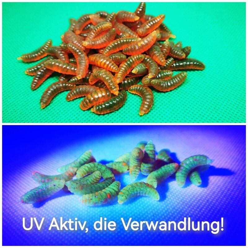 Bienenmade 2cm, uv-aktiv, auftreibend Bienenmade 2cm, uv-aktiv, auftreibend