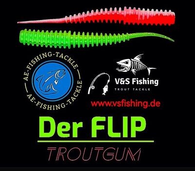 Der FLIP
