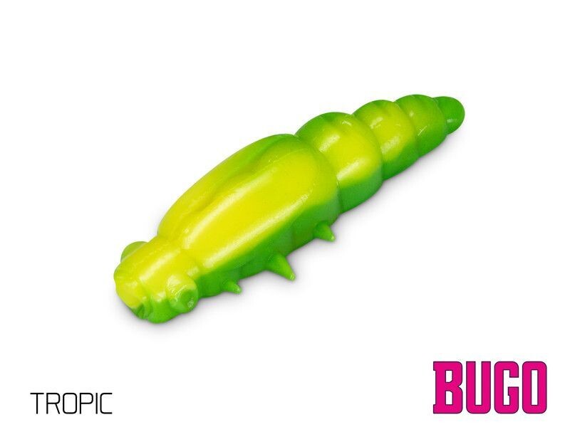 Delphin BUGO 4cm Käse in TROPIC