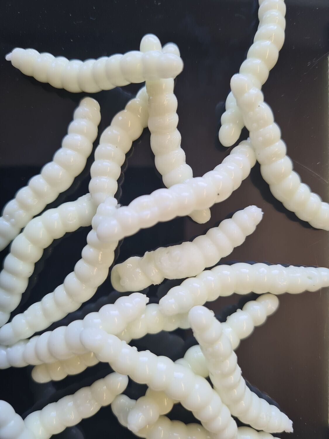 DER WURM, weiss