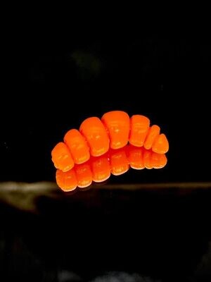 Larva Apod Fat 32mm 005 orange
