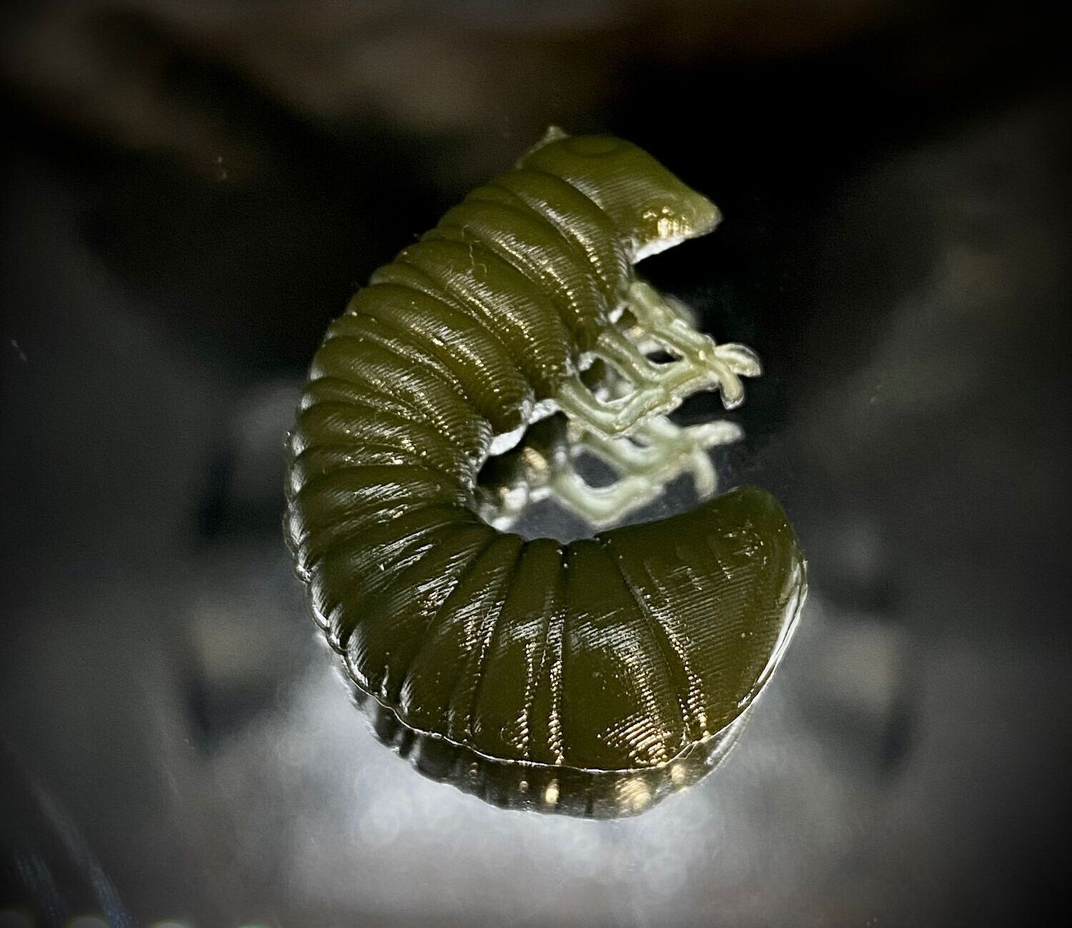 SCARAB 32mm Watermelon, Geschmack: Käse