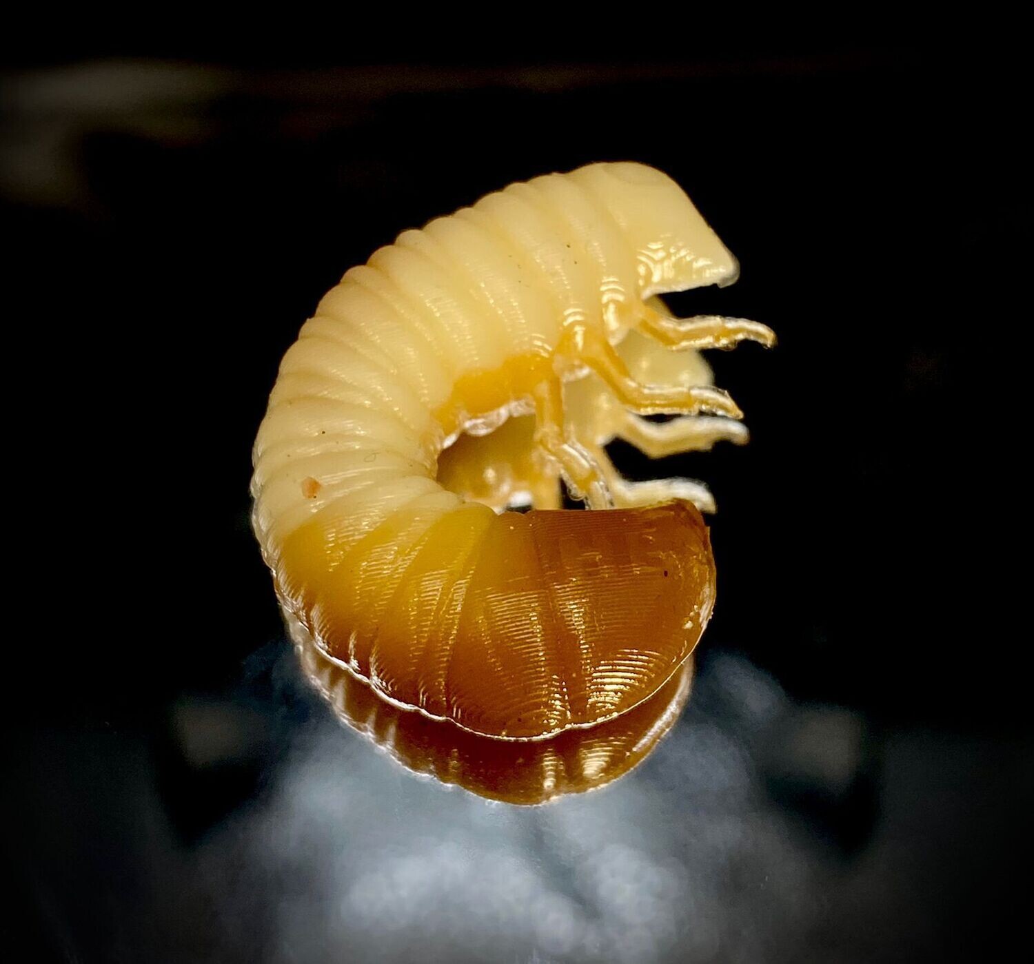 SCARAB 27mm 002 Cheese + Karamel, Geschmack: Käse