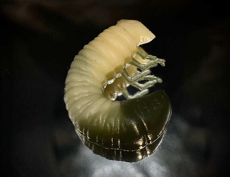 SCARAB 27mm 002 Cheese + Watermelon