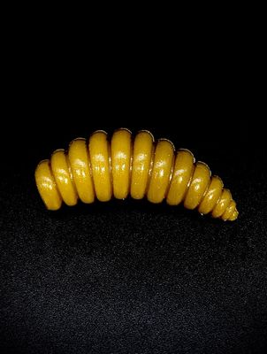 LARVA XL 37mm