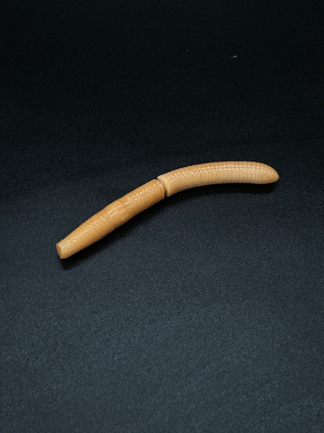 WORM FAT 70mm, 016 coffee milk