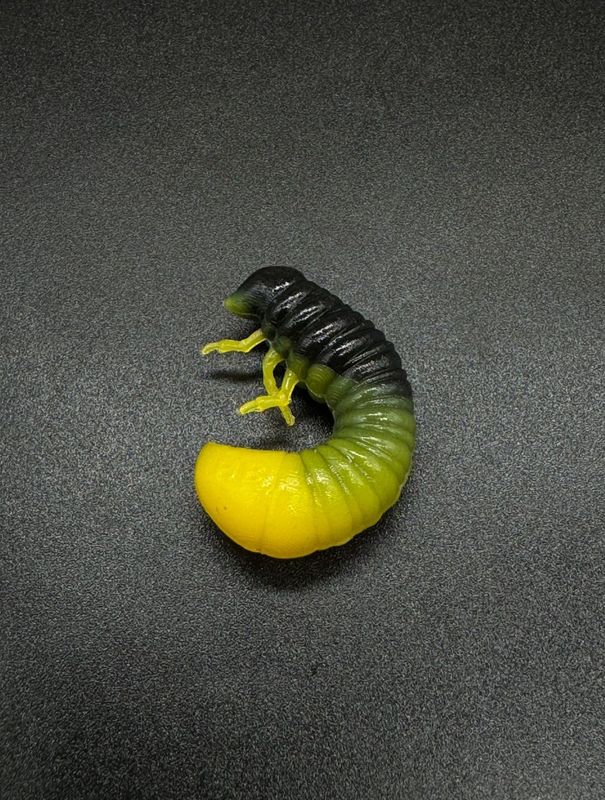SCARAB 27mm schwarz + gelb