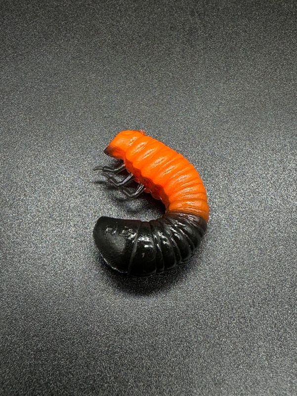 SCARAB 27mm orange + schwarz