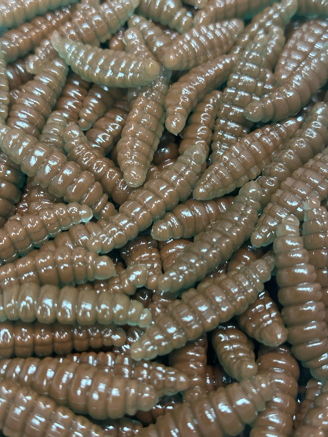 ACTIVA BIENENMADE 40mm sinkend in Crazy Craw