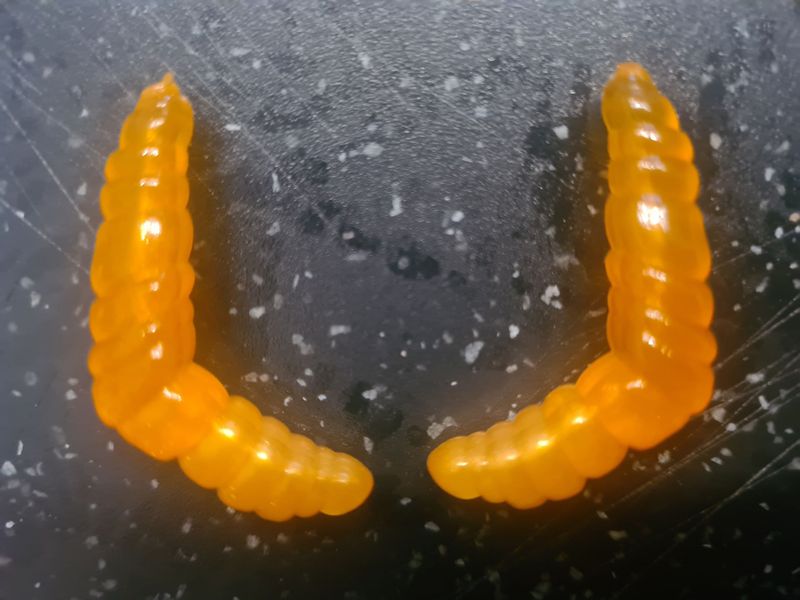 CurlyCatch bernstein / goldglitter