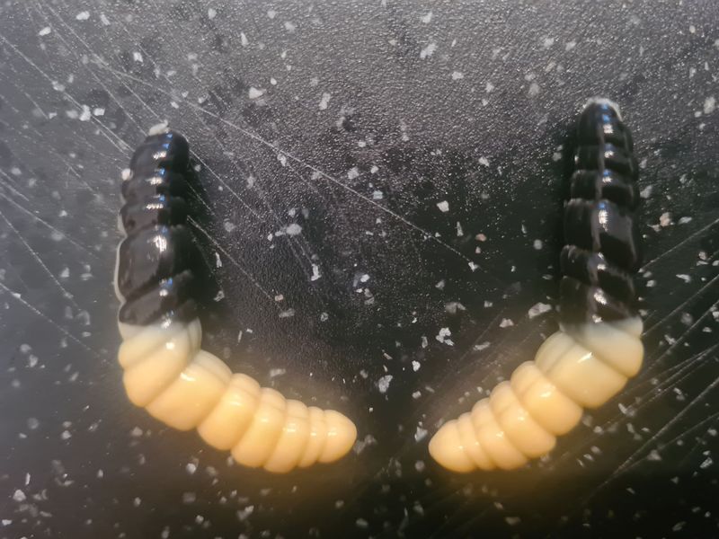 CurlyCatch schwarz / bienenmade