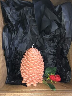 Pine Cone Candle