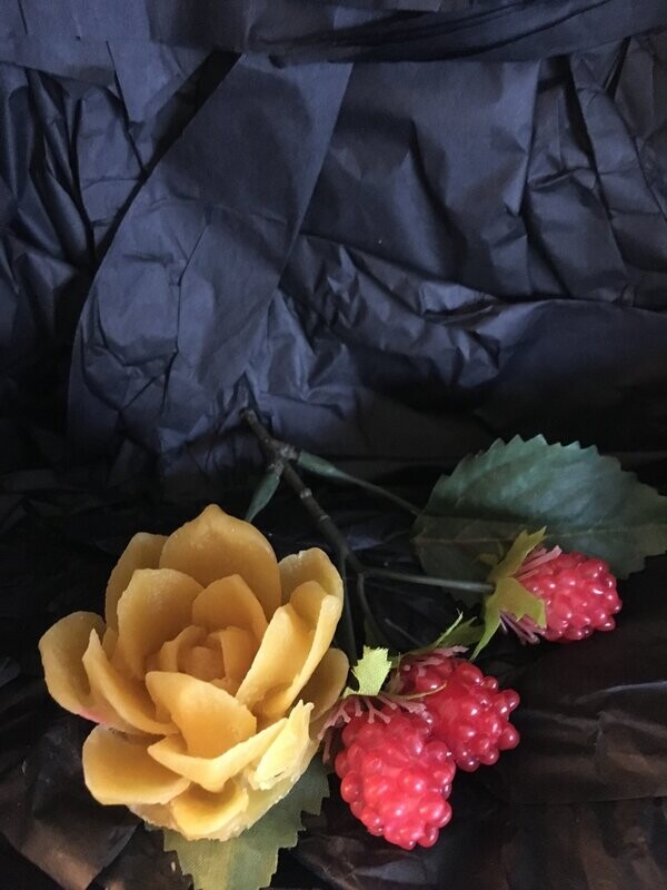 Lotus Flower