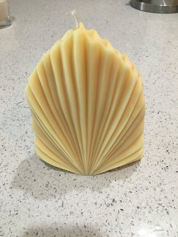 Coral Shell Candle