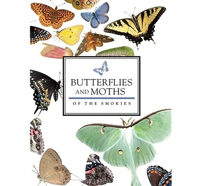 Book GSM Book Butterflies &amp; Moths Smokies