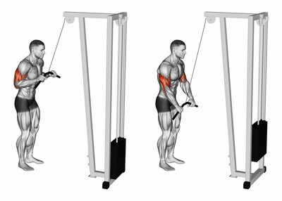 قبضات الأجهزة والاكسسوارات