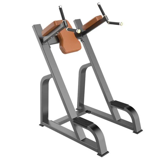 Vertical Knee Up/Dip-F47