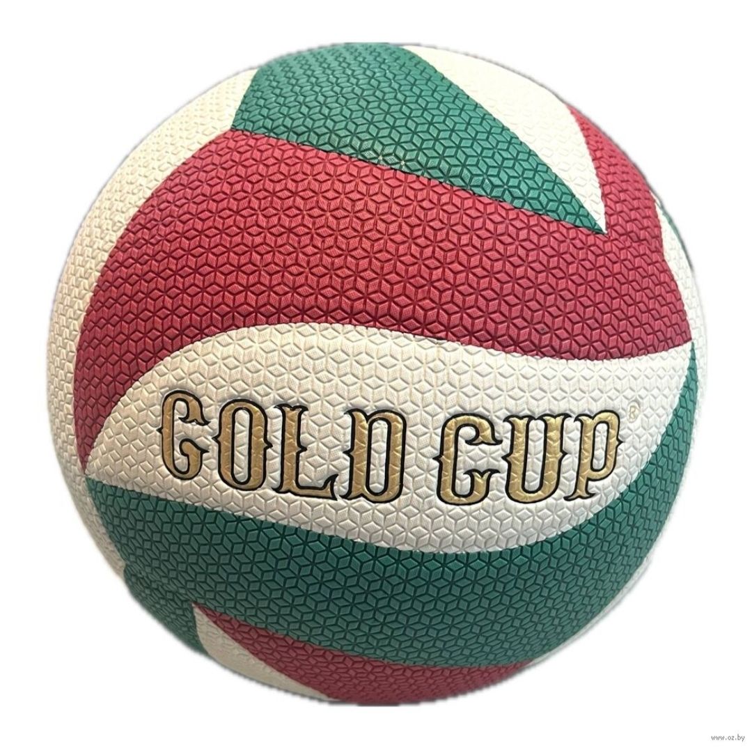 كرة طائرة Gold Cup #