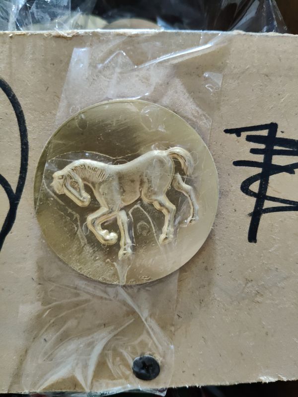 قشرة ركوب الخيل ذهبي #