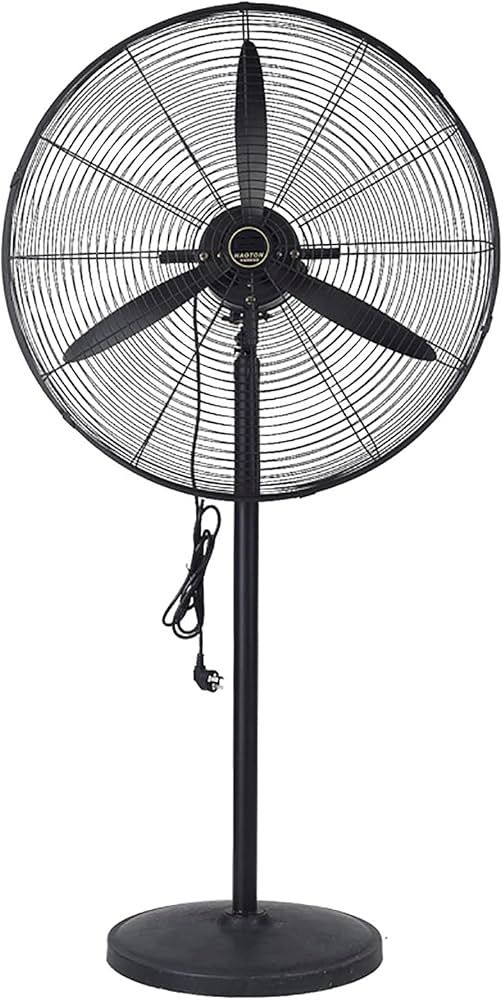 Fan @