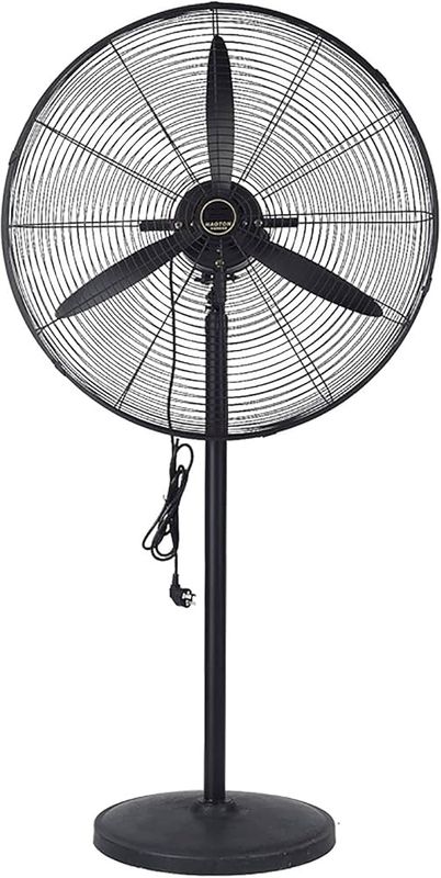 Fan @