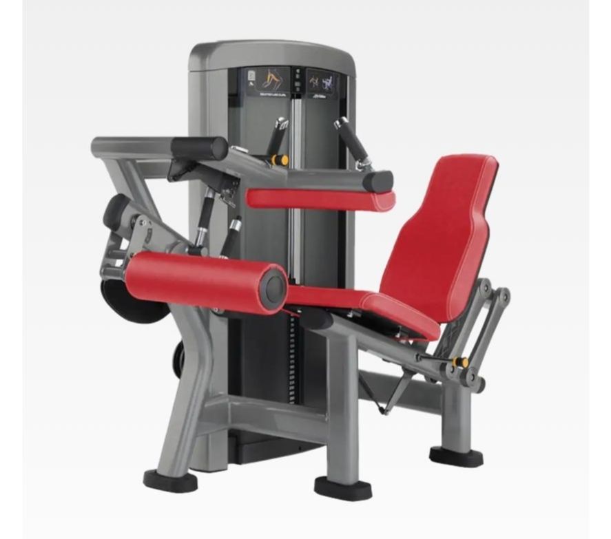 Insigani Series Seated Leg Curl (مستعمل) ✔️