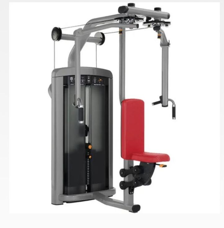 Insigani Series Pectoral Fly/Rear Deltoid (مستعمل) ✔️