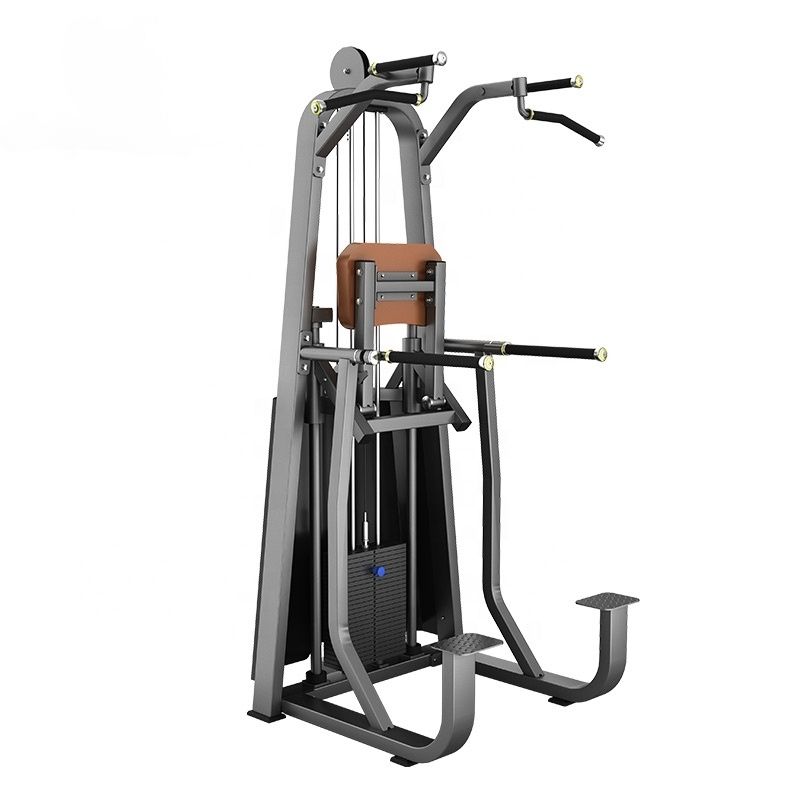 Dip/Chin Assist MND-F09 ✓