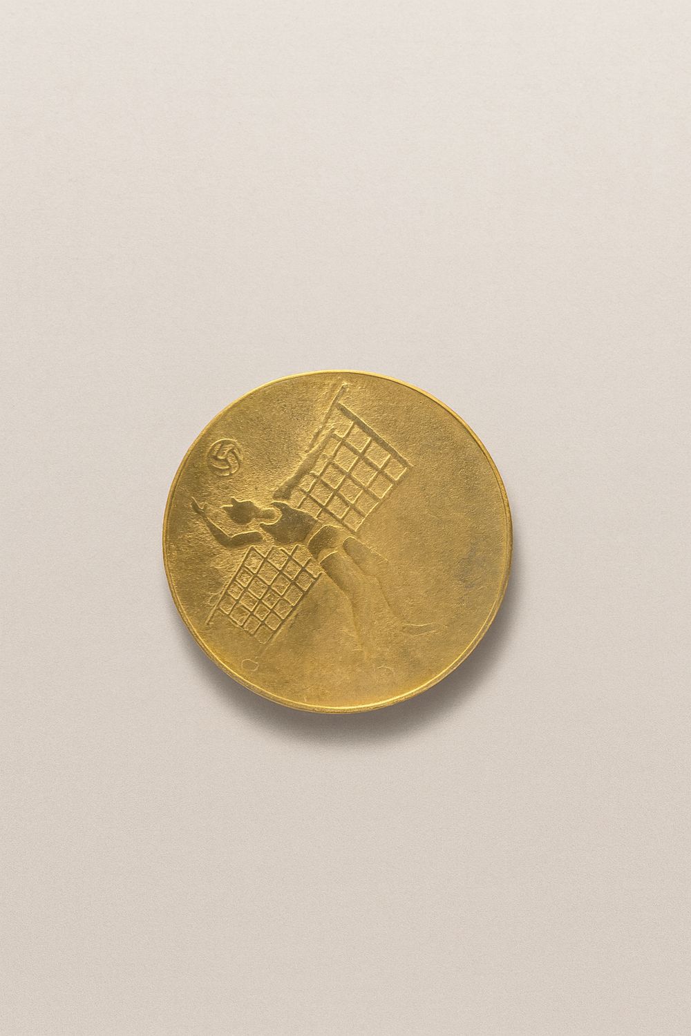 قشرة كرة الطائرة ذهبي #