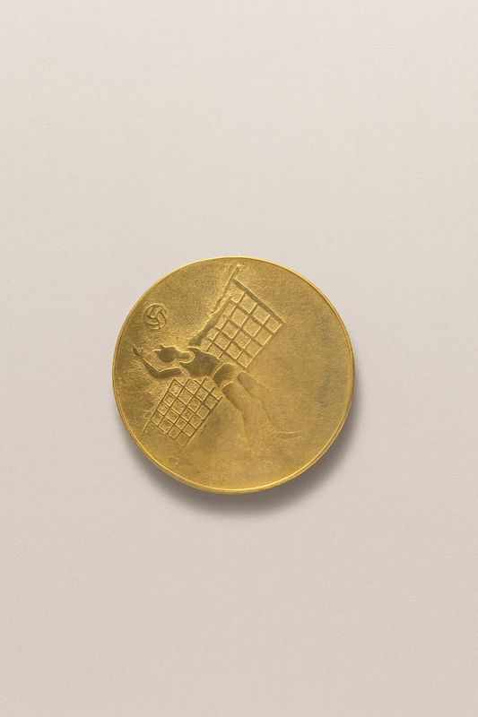 قشرة كرة الطائرة ذهبي #