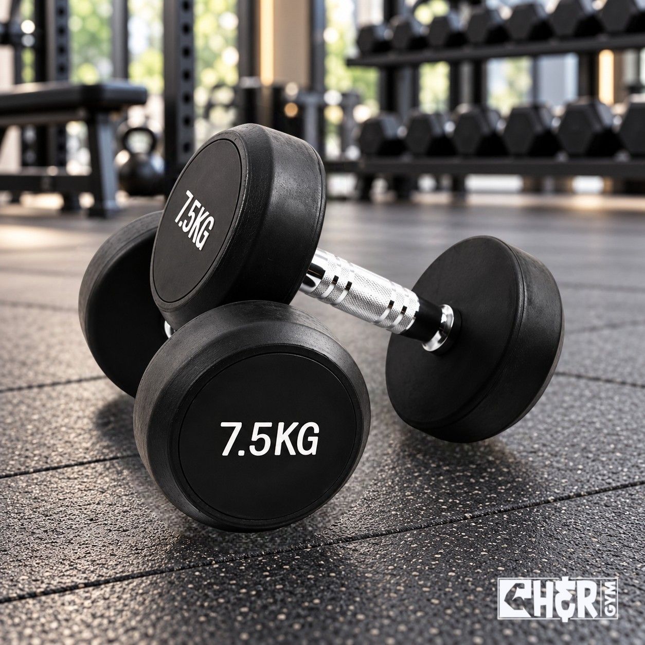 دامبلز دائري 30kg ✓