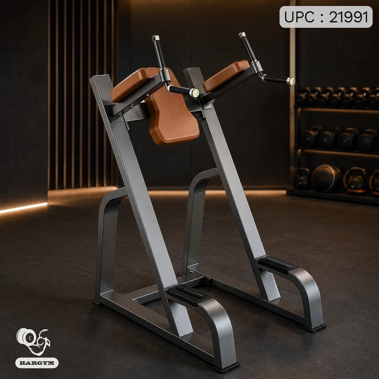 Vertical Knee Up/Dip-F47 ✓