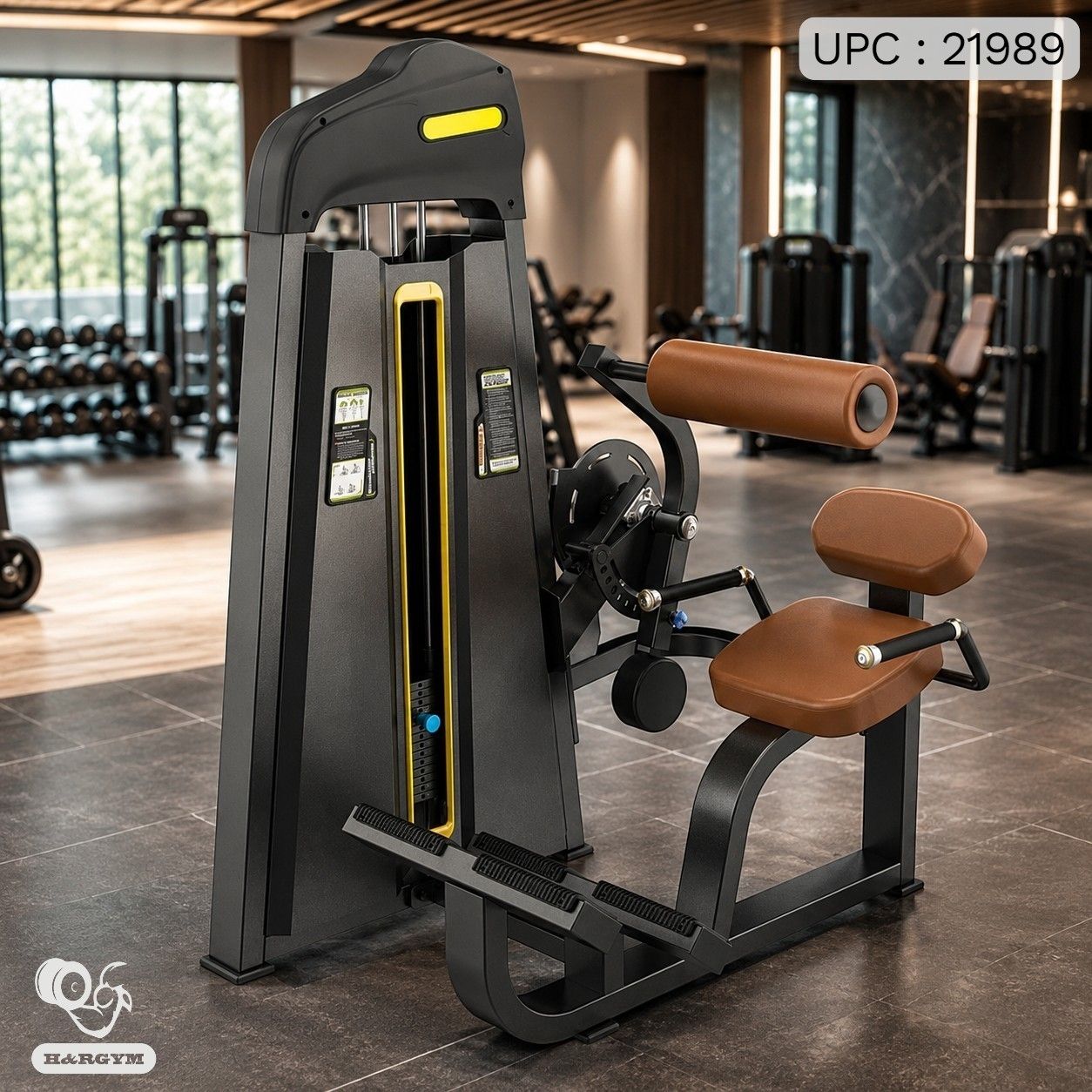 Abdominal/Back Extension-F85B ✓