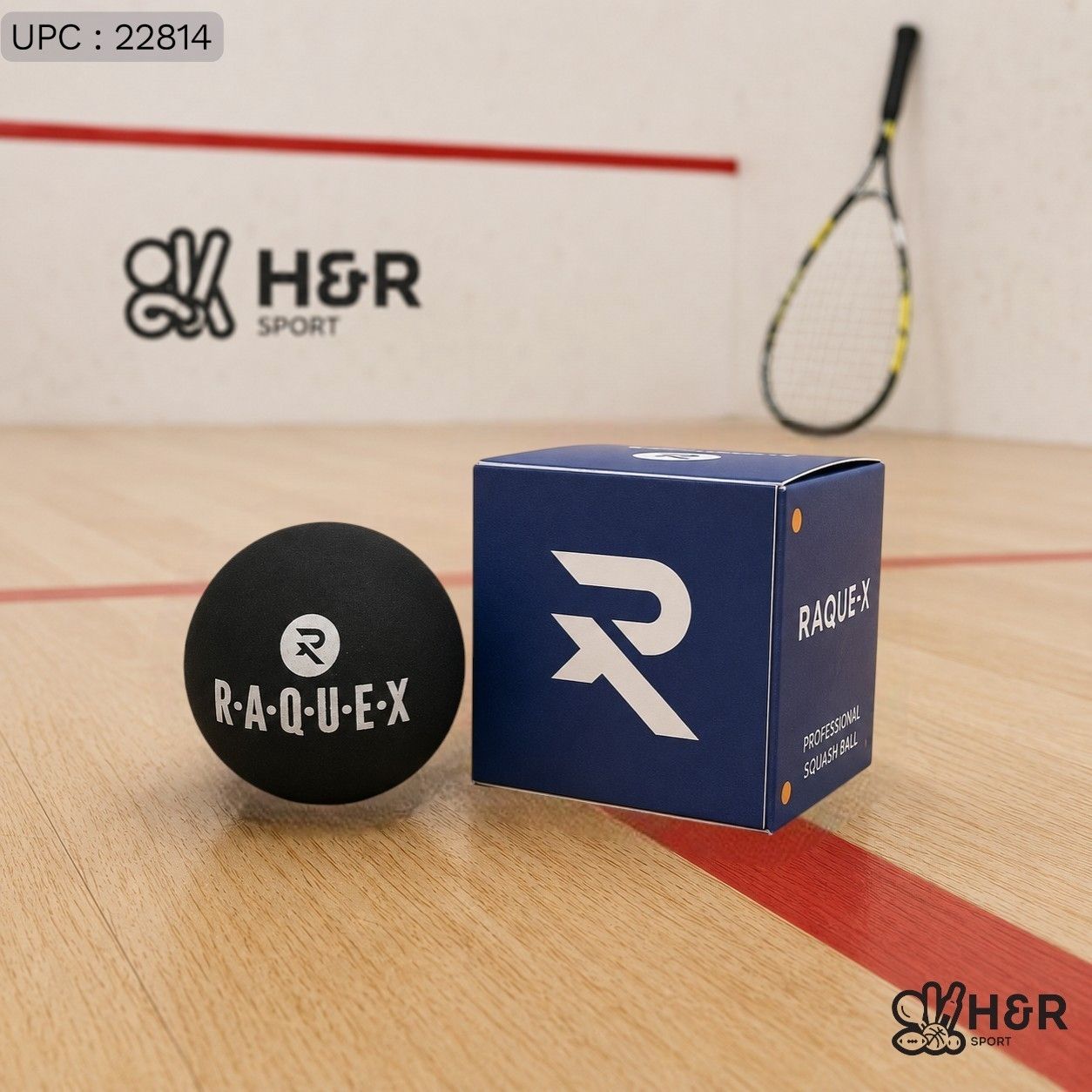 ✓ كرة سكواش RAQUEX ( تو دوت )